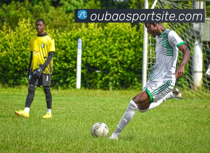 欧宝体育平台生态图