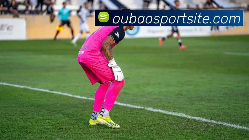 欧宝体育全站App